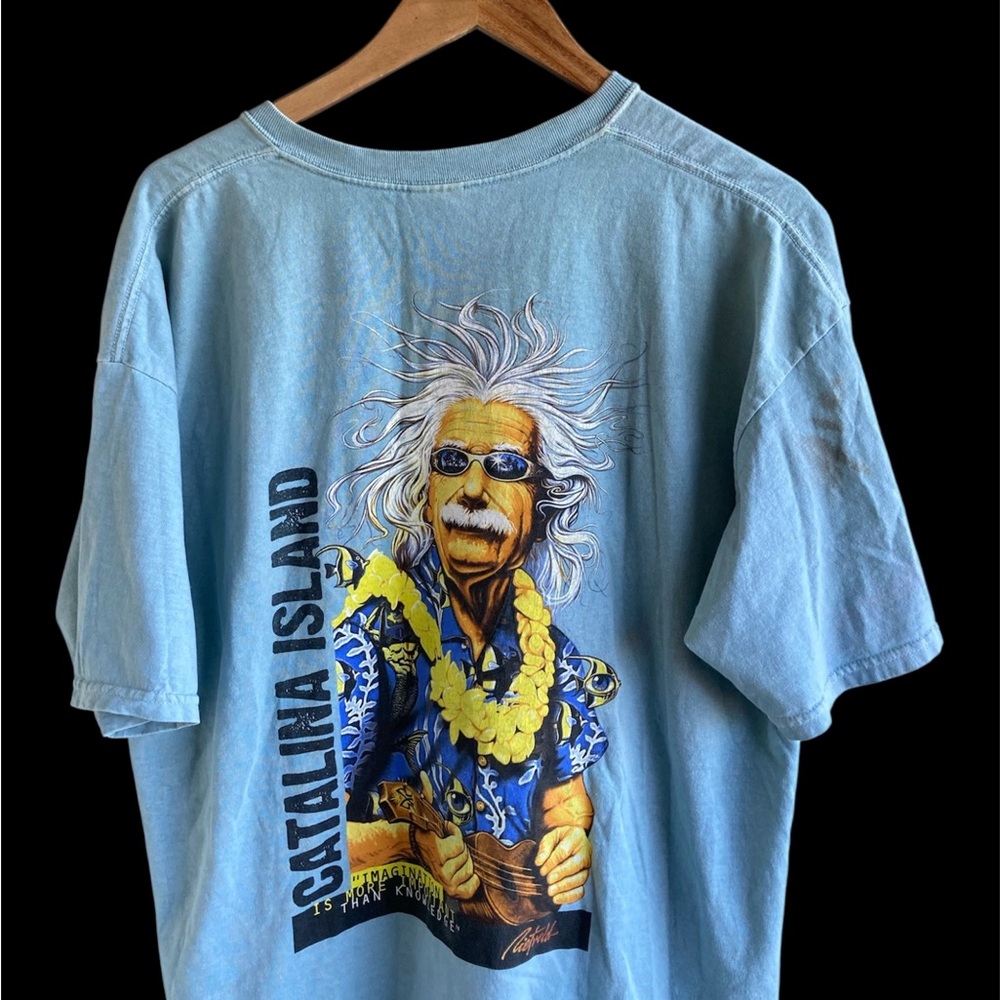 Vintage Y2K Albert Einstein Catalina Island Tee XL 2000s Gildan VTG Art Nature